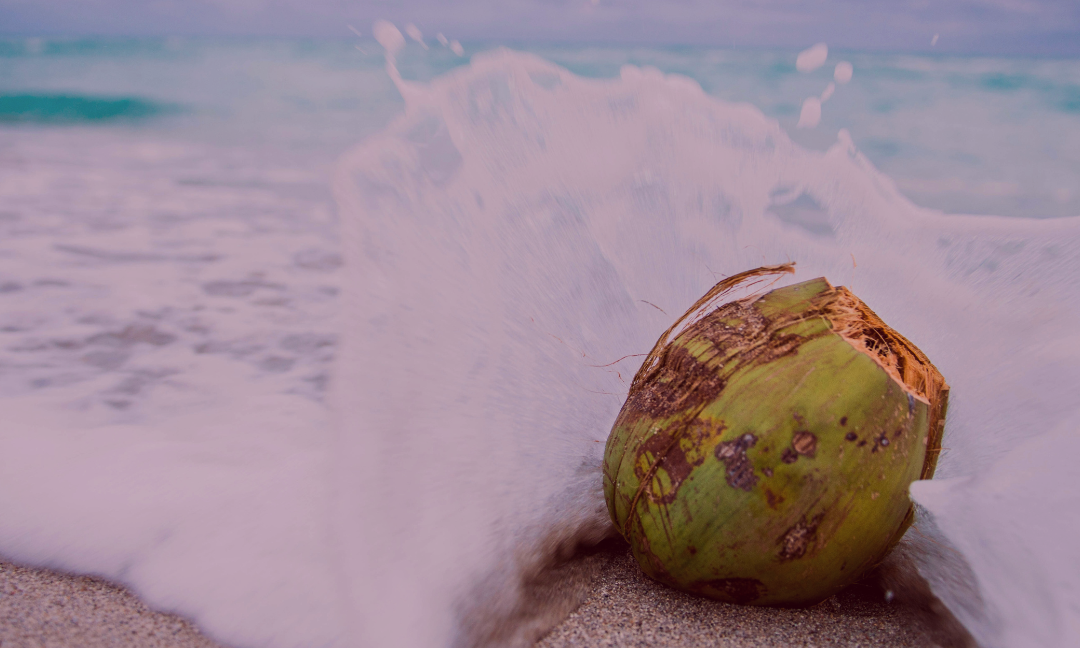 Coconut Oil for Vaginal Dryness? Here's Why Experts Say No