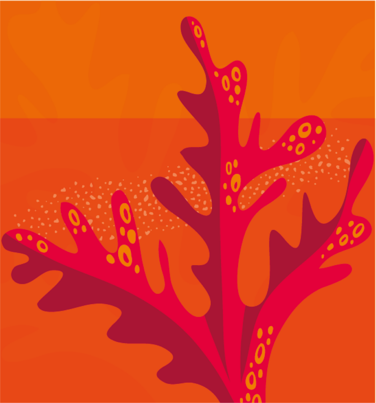Illustration of red micro-algae